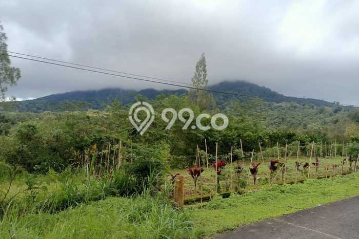 Lahan Kosong Dijual di Bangli dengan Area 3300m2 Lahan Kosong Dijual di Bangli dengan Area 3300m2
