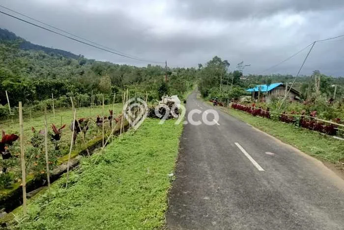 Lahan Kosong Dijual di Bangli dengan Area 3300m2 Lahan Kosong Dijual di Bangli dengan Area 3300m2