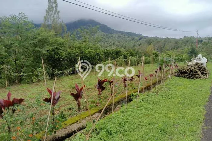 Lahan Kosong Dijual di Bangli dengan Area 3300m2 Lahan Kosong Dijual di Bangli dengan Area 3300m2