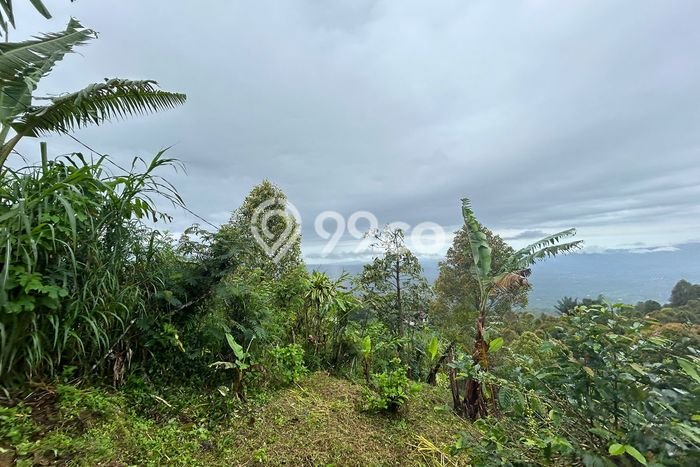 Tanah Kavling Dijual di Buleleng dengan Spesifikasi 14400m2 Tanah Kavling Dijual di Buleleng dengan Spesifikasi 14400m2