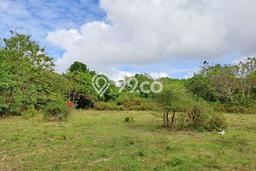 Kavling Tanah untuk Dijual di Jimbaran, Badung, Luas 5950m2 Kavling Tanah untuk Dijual di Jimbaran, Badung, Luas 5950m2