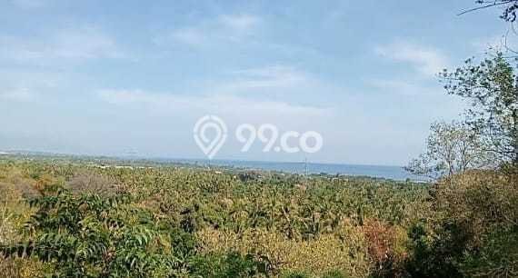Tanah Dijual di Buleleng Seluas 7000m2 Strategis Tanah Dijual di Buleleng Seluas 7000m2 Strategis