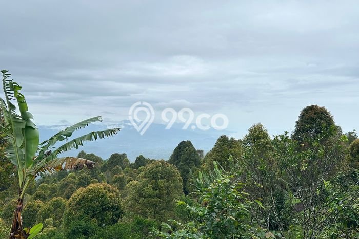 Tanah Kavling Dijual di Buleleng dengan Spesifikasi 14400m2 Tanah Kavling Dijual di Buleleng dengan Spesifikasi 14400m2