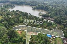 Lahan Kosong Dijual di Tabanan, Tabanan, Luas 8119m2 Area Strategis Lahan Kosong Dijual di Tabanan, Tabanan, Luas 8119m2 Area Strategis