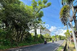 Tanah Investasi Dijual di Badung Punya Luas 1465m2 Tanah Investasi Dijual di Badung Punya Luas 1465m2