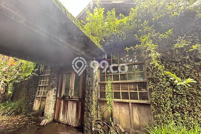 Tanah Dijual di Buleleng Seluas 12740m2 Strategis Tanah Dijual di Buleleng Seluas 12740m2 Strategis