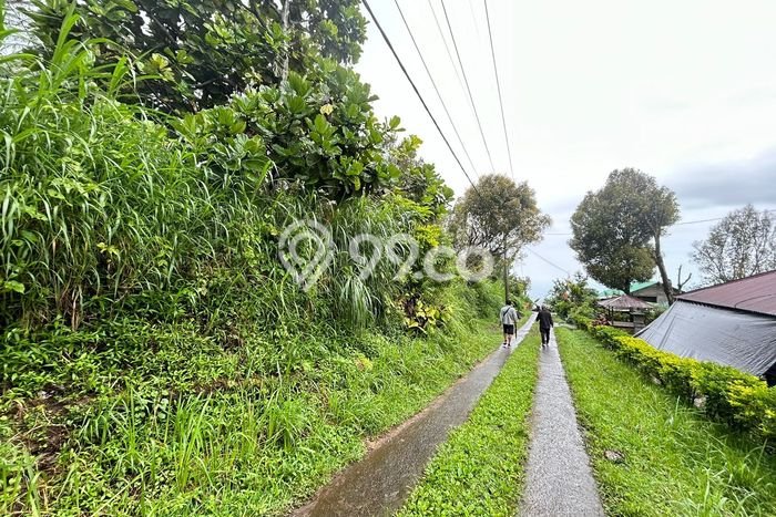 Tanah Dijual di Buleleng Seluas 7000m2 Strategis Tanah Dijual di Buleleng Seluas 7000m2 Strategis