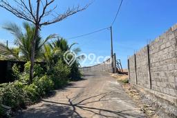 Untuk Dijual Tanah di Badung, Luas 3160m2 SHM Untuk Dijual Tanah di Badung, Luas 3160m2 SHM