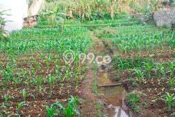 Tanah Dijual Area Strategis di Bandung Utara Bandung 861m2 Tanah Dijual Area Strategis di Bandung Utara Bandung 861m2