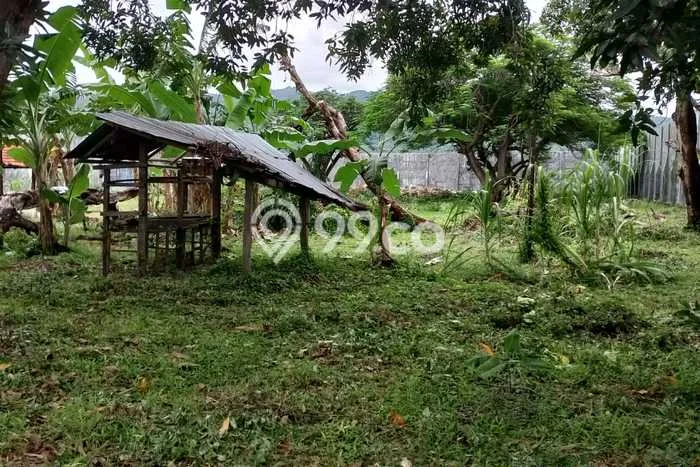 Tanah Dijual Area Strategis di Singaraja Buleleng 6000m2 Tanah Dijual Area Strategis di Singaraja Buleleng 6000m2