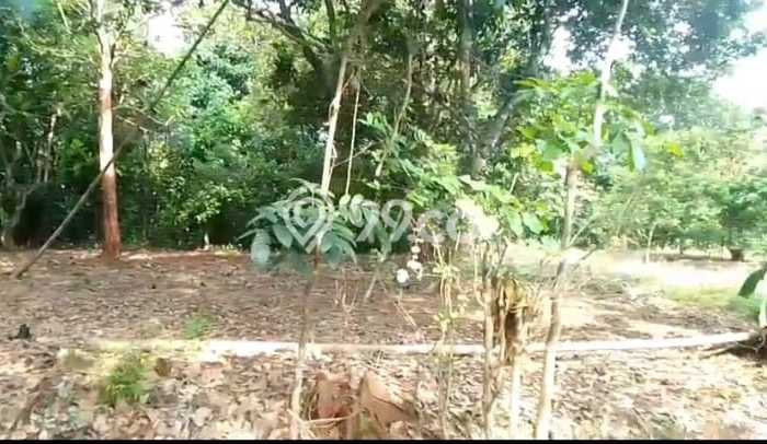 Tanah untuk Dijual di Purwadadi Subang Luas 100m2 Tanah untuk Dijual di Purwadadi Subang Luas 100m2