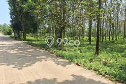 Tanah Kavling untuk Dijual di Darangdan Purwakarta 7000m2 Tanah Kavling untuk Dijual di Darangdan Purwakarta 7000m2