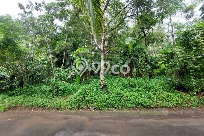 Tanah Kavling Dijual di Sentul City, Bogor dengan Luas Tanah 572m2 Tanah Kavling Dijual di Sentul City, Bogor dengan Luas Tanah 572m2