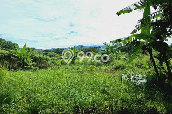 Untuk Dijual Tanah di Bogor, Luas 35367m2 - Untuk Dijual Tanah di Bogor, Luas 35367m2 -
