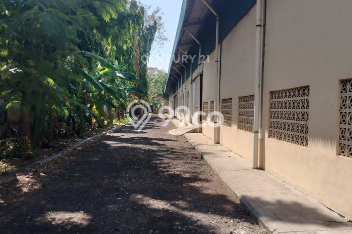 Gudang Bagus LT 24000m2 LB 5800m2 Dijual di Suradadi Tegal Gudang Bagus LT 24000m2 LB 5800m2 Dijual di Suradadi Tegal