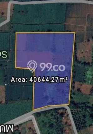 Tanah di Balapulang, Tegal Luas 46000m2 Dijual Segera Tanah di Balapulang, Tegal Luas 46000m2 Dijual Segera