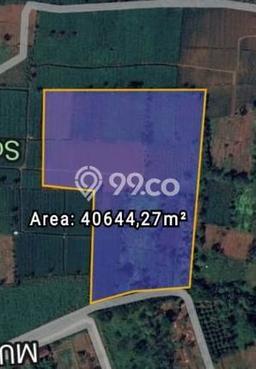 Tanah di Balapulang, Tegal Luas 46000m2 Dijual Segera Tanah di Balapulang, Tegal Luas 46000m2 Dijual Segera