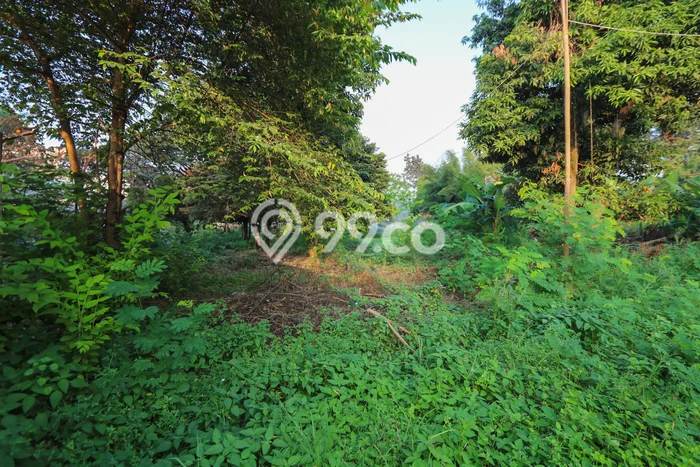 Kavling Tanah Dijual di Karang Tengah, Tangerang, Luas 5201m2 Area Strategis Kavling Tanah Dijual di Karang Tengah, Tangerang, Luas 5201m2 Area Strategis