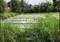 Tanah Dijual Area Strategis di Setiabudi Bandung 195m2 Tanah Dijual Area Strategis di Setiabudi Bandung 195m2