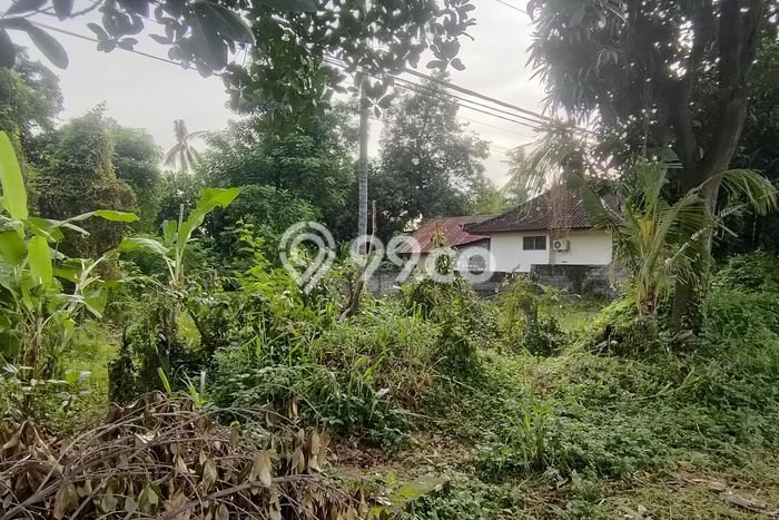 Lahan Dijual Lokasi Strategis di Buleleng dengan Luas 10000m2 Lahan Dijual Lokasi Strategis di Buleleng dengan Luas 10000m2