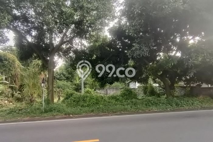 Lahan Dijual Lokasi Strategis di Buleleng dengan Luas 10000m2 Lahan Dijual Lokasi Strategis di Buleleng dengan Luas 10000m2