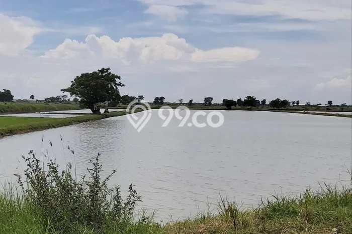 Tanah Kavling Dijual di Gresik dengan Spesifikasi 10000m2 Tanah Kavling Dijual di Gresik dengan Spesifikasi 10000m2