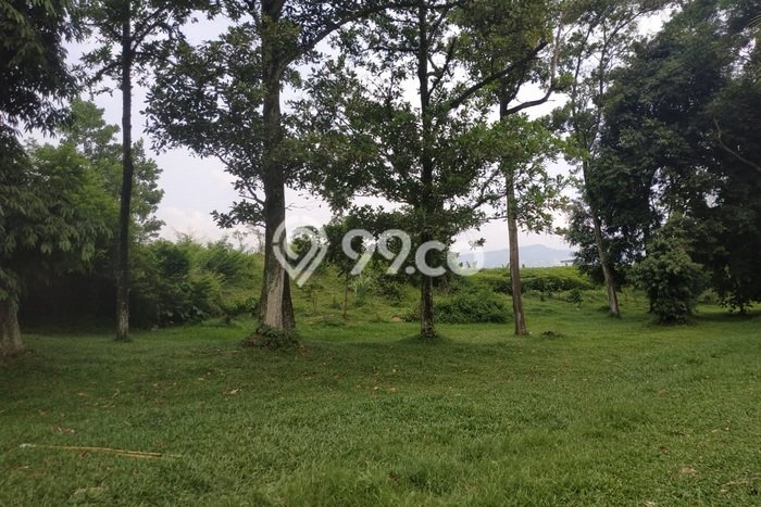 Dijual Tanah Lokasi Sentul City, Bogor Seluas 2625m2 Dijual Tanah Lokasi Sentul City, Bogor Seluas 2625m2