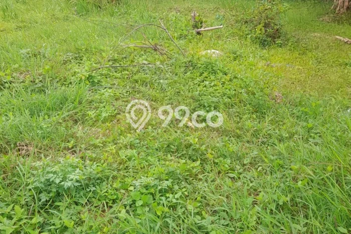 Tanah Dijual Area Strategis di Pantai Indah Kapuk Jakarta Utara 349m2 Tanah Dijual Area Strategis di Pantai Indah Kapuk Jakarta Utara 349m2