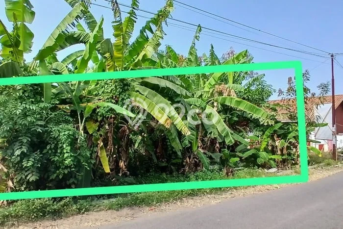 Tanah Dijual Lokasi Jatitujuh, Majalengka Luas 1300m2 Legalitas Aman Tanah Dijual Lokasi Jatitujuh, Majalengka Luas 1300m2 Legalitas Aman