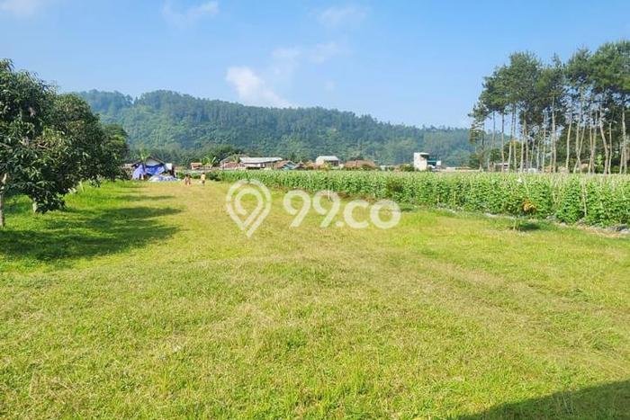 Jarang Ada! Tanah di Lembang Punya Luas 1365m2 SHM Jarang Ada! Tanah di Lembang Punya Luas 1365m2 SHM