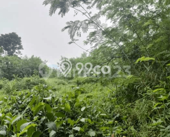 Kavling Tanah untuk Dijual di Sentul City, Bogor, Luas 889m2 Kavling Tanah untuk Dijual di Sentul City, Bogor, Luas 889m2