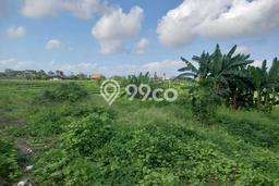 Kavling Tanah Disewakan di Mengwi Badung Luas 188m2 Strategis Kavling Tanah Disewakan di Mengwi Badung Luas 188m2 Strategis