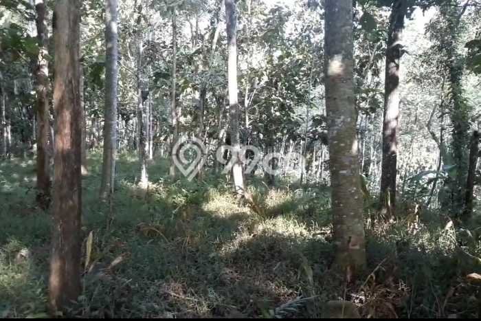 Kavling Tanah di Trenggalek Dijual Luas 1520m2 Legalitas SHM Kavling Tanah di Trenggalek Dijual Luas 1520m2 Legalitas SHM