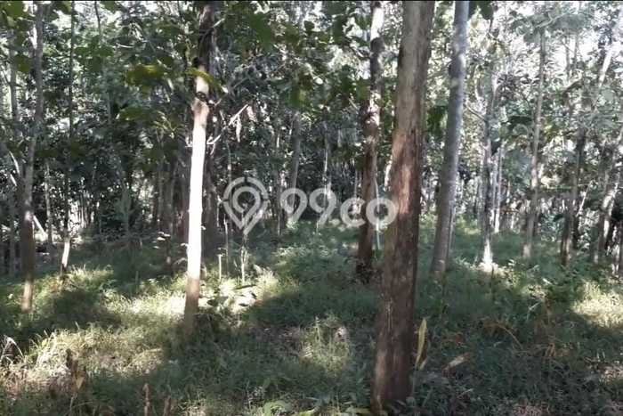 Kavling Tanah di Trenggalek Dijual Luas 1520m2 Legalitas SHM Kavling Tanah di Trenggalek Dijual Luas 1520m2 Legalitas SHM