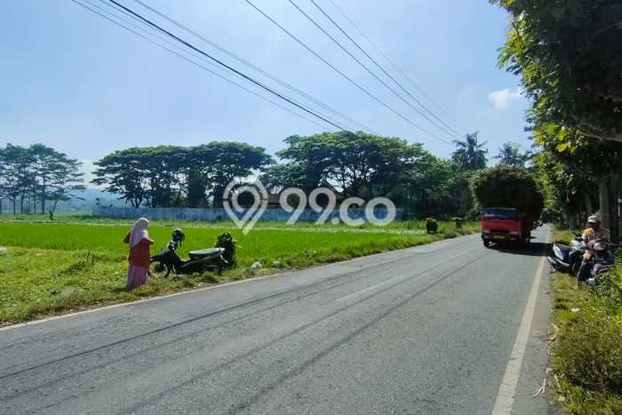 Untuk Dijual Tanah di Malang, Luas 2071m2 SHM Untuk Dijual Tanah di Malang, Luas 2071m2 SHM