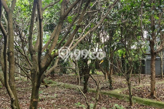 Tanah Dijual Area Strategis di BSD Griya Loka Tangerang 342m2 Tanah Dijual Area Strategis di BSD Griya Loka Tangerang 342m2