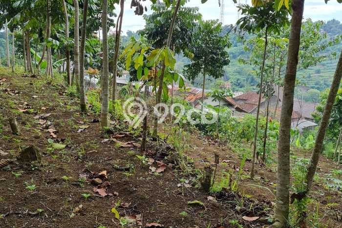 Lahan untuk Dijual di Lembang Bandung Barat Luas 1m2 Lahan untuk Dijual di Lembang Bandung Barat Luas 1m2