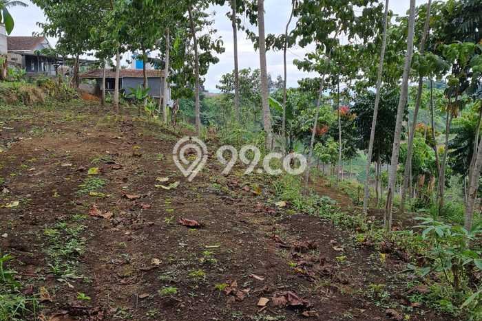 Lahan untuk Dijual di Lembang Bandung Barat Luas 1m2 Lahan untuk Dijual di Lembang Bandung Barat Luas 1m2