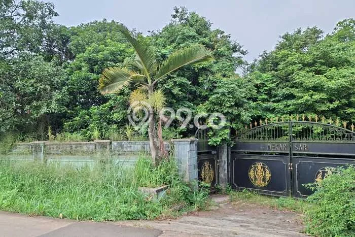 Tanah Area Prospektif di Cileungsi, Luas 3145m2m², Akses ke Fasilitas, Lingkungan Asri Tanah Area Prospektif di Cileungsi, Luas 3145m2m², Akses ke Fasilitas, Lingkungan Asri