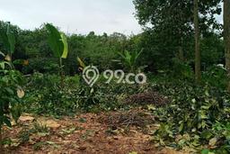 Tanah untuk Dijual di Tajur Halang Bogor Luas 4778m2 Tanah untuk Dijual di Tajur Halang Bogor Luas 4778m2