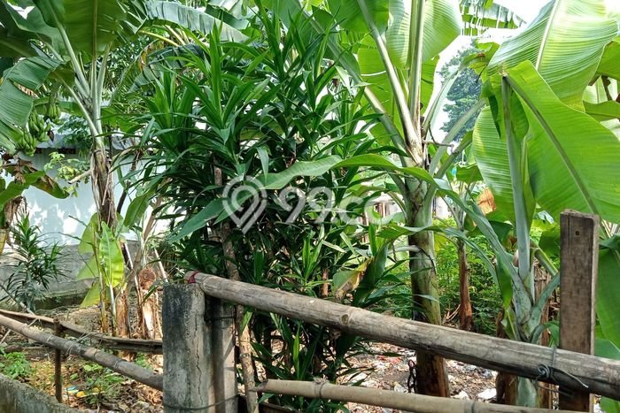 Dijual Tanah Lokasi Jatikarya, Bekasi Seluas 300m2 Dijual Tanah Lokasi Jatikarya, Bekasi Seluas 300m2