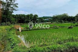 Dijual Tanah Lokasi Klapanunggal, Bogor Seluas 135m2 Dijual Tanah Lokasi Klapanunggal, Bogor Seluas 135m2