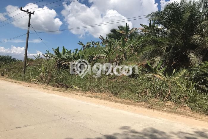 Lahan Kosong Dijual di Sepaku, Penajam Paser Utara, Luas 13720m2 Area Strategis Lahan Kosong Dijual di Sepaku, Penajam Paser Utara, Luas 13720m2 Area Strategis