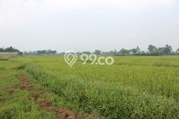 Tanah Dijual Lokasi Cikande, Serang Luas 8183m2 Legalitas Aman Tanah Dijual Lokasi Cikande, Serang Luas 8183m2 Legalitas Aman