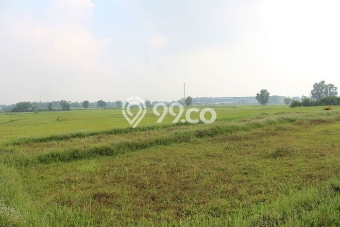 Pabrik Paling Dicari LB 50m2 Dijual di Cikande Pabrik Paling Dicari LB 50m2 Dijual di Cikande