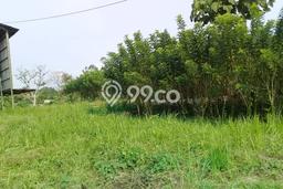 Lahan untuk Dijual Lokasi Cibadak, Sukabumi Luas 20630m2 SHM Lahan untuk Dijual Lokasi Cibadak, Sukabumi Luas 20630m2 SHM