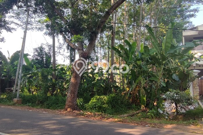 Kavling Tanah Lokasi Strategis di Tlaga Bodas, Semarang Disewakan 756m2 Kavling Tanah Lokasi Strategis di Tlaga Bodas, Semarang Disewakan 756m2