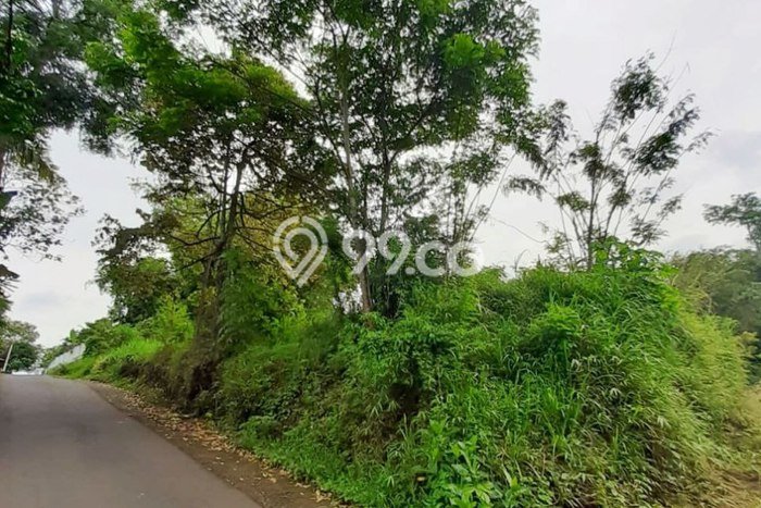 Tanah Dijual Lokasi Dau, Malang Luas 1640m2 Legalitas Aman Tanah Dijual Lokasi Dau, Malang Luas 1640m2 Legalitas Aman