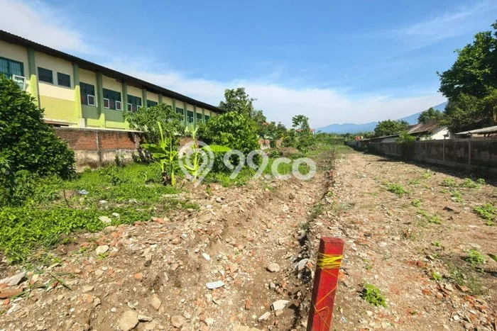 Jarang Ada! Tanah di Singosari Punya Luas 188m2 SHM Jarang Ada! Tanah di Singosari Punya Luas 188m2 SHM