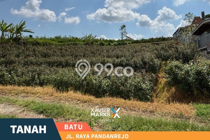Tanah Kavling untuk Dijual di Batu Batu 1684m2 Tanah Kavling untuk Dijual di Batu Batu 1684m2